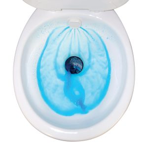 Aqua-Magic Style II RV toilet flush action